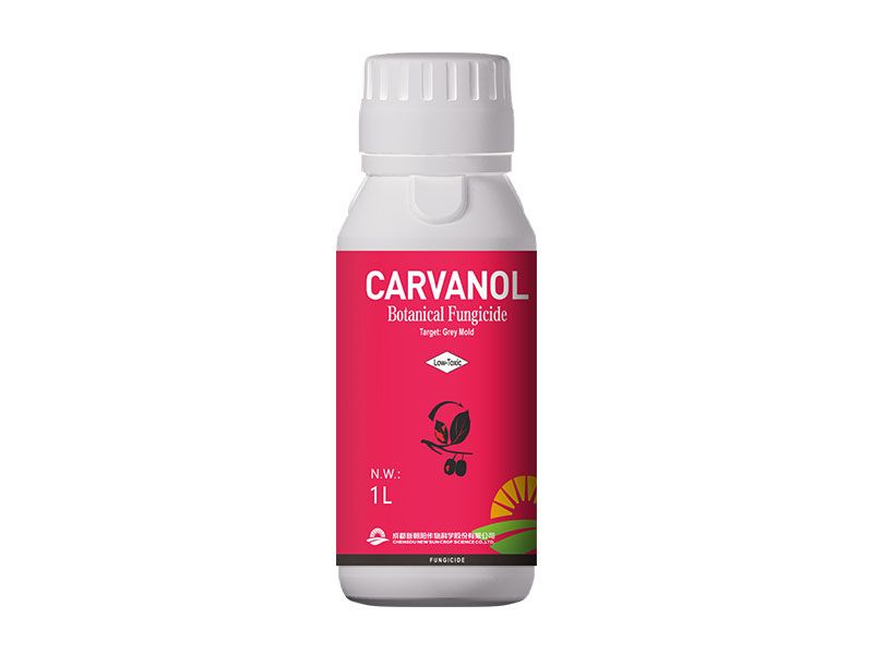 Carvanol