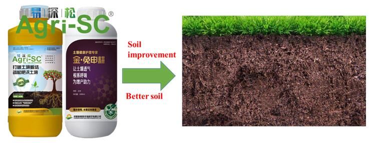 How Soil conditioner Agri-SC- L promotes root grow and increases yields?