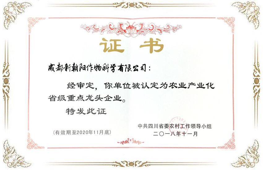 龍頭企業.jpg
