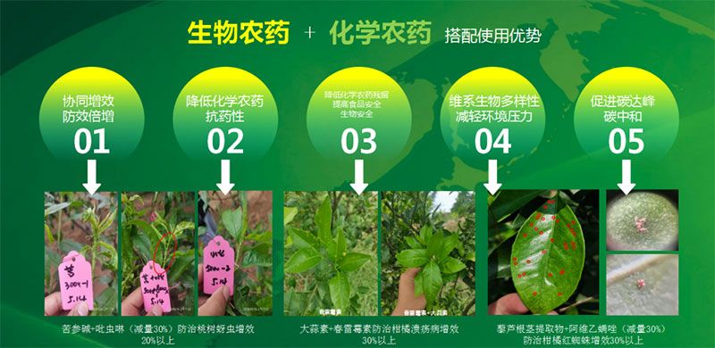 新朝陽在第六屆中國農(nóng)藥行業(yè)市場和銷售高峰論壇做“生物農(nóng)藥+化學(xué)農(nóng)藥,引領(lǐng)植保市場未來”主題報告