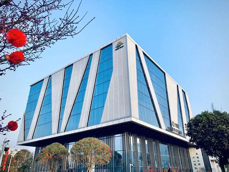 新突破!新朝陽新型脫葉劑獲巴西專利授權