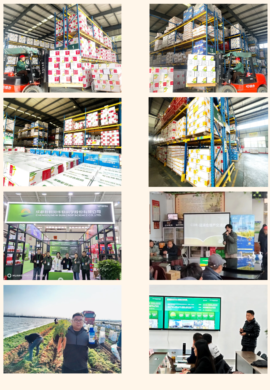 快馬加鞭戰春耕,馬年奮進正當時